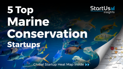 Discover 5 Top Marine Conservation Startups