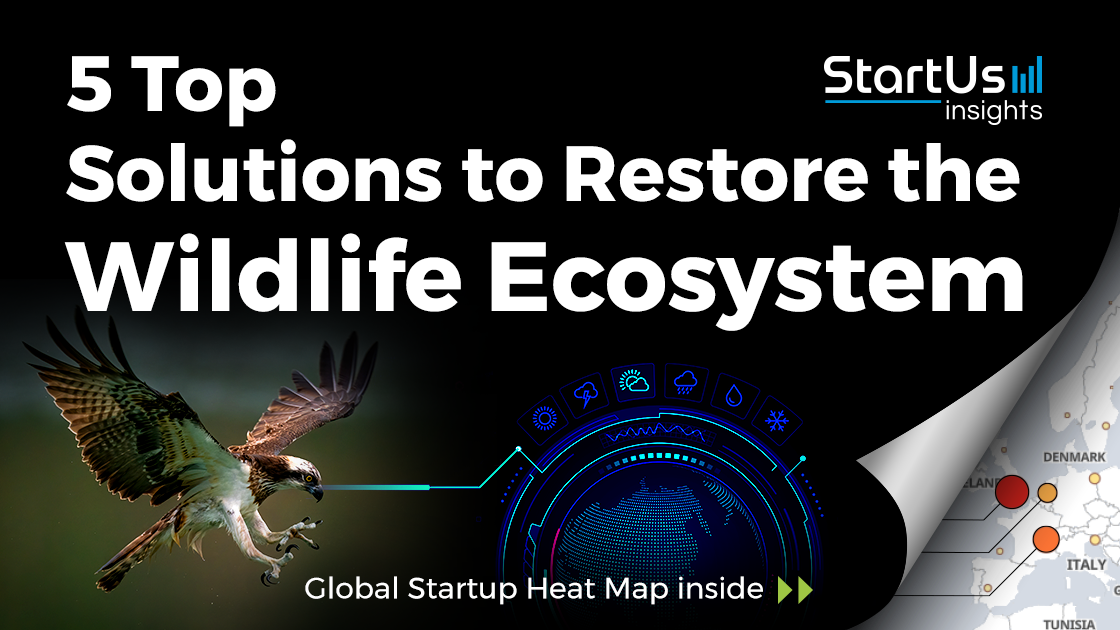 Discover 5 Top Solutions To Restore Wildlife Ecosystems