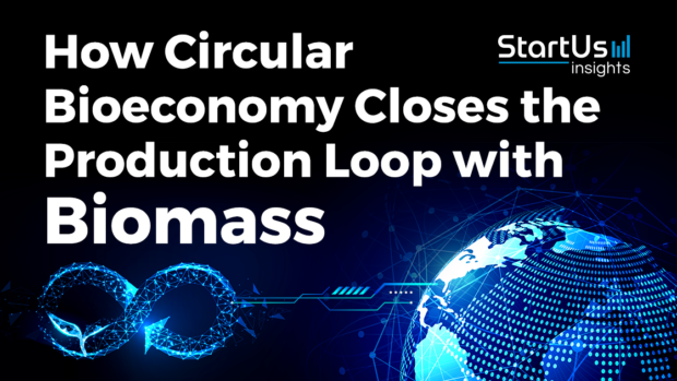 How Circular Bioeconomy Closes The Production Loop With Biomass