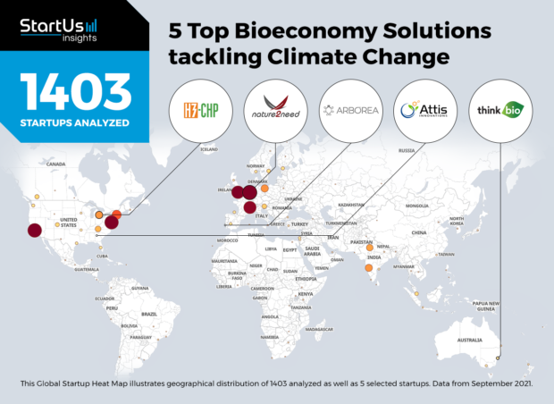 Discover 5 Top Bioeconomy Solutions Tackling Climate Change