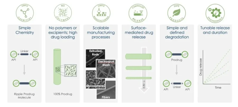 Ripple Therapeutics