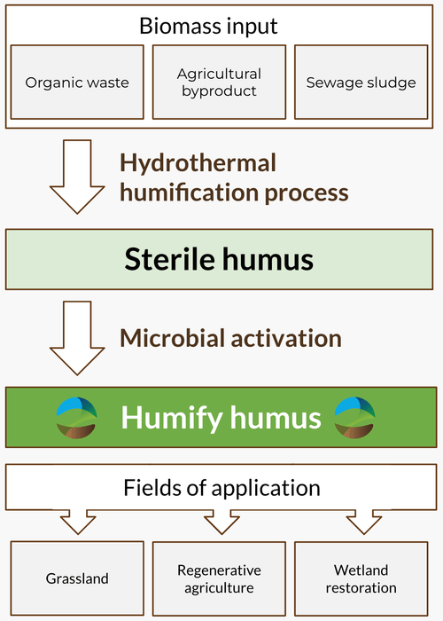 startup-humify-infographic