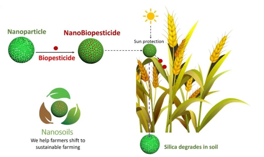 Nanosoils