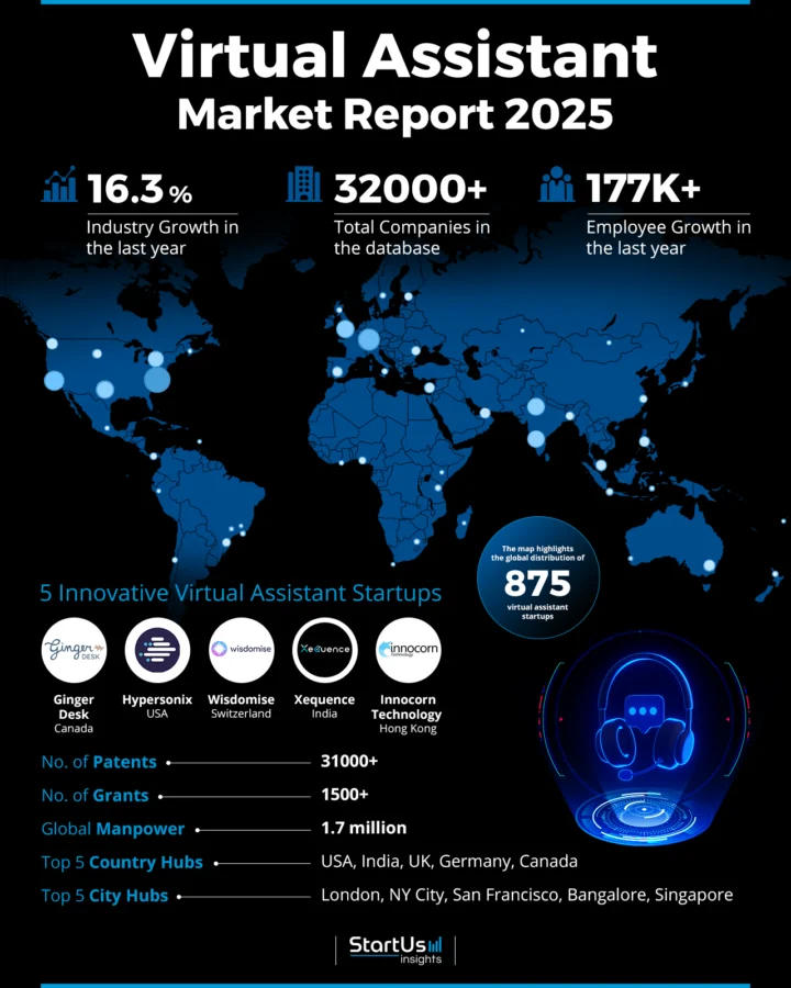 Virtual Assistant Report | 2025