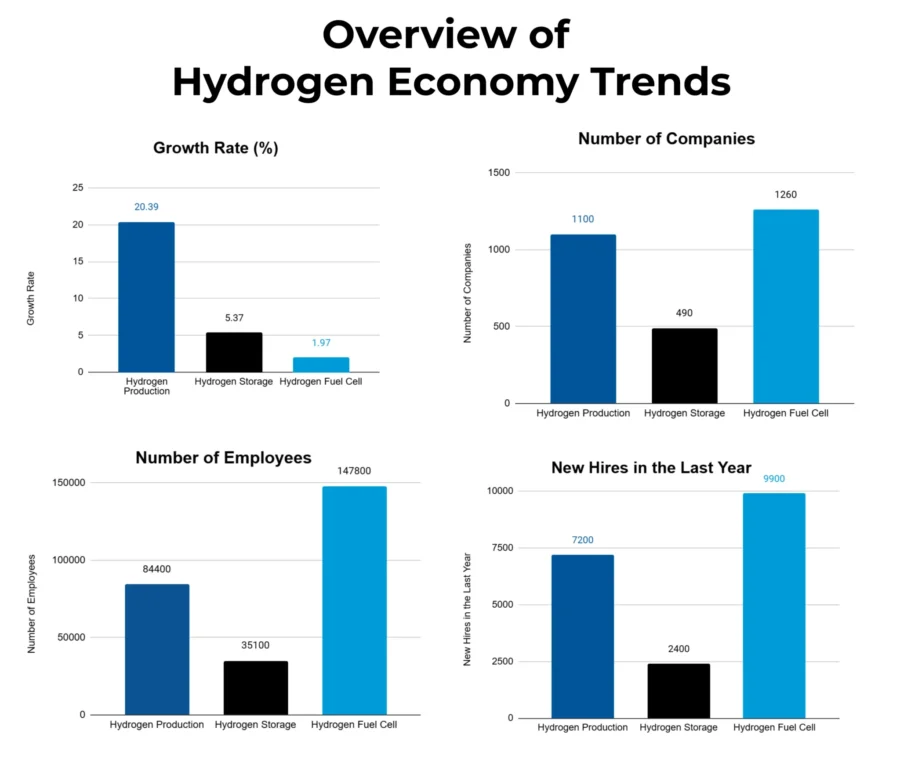 Overview of Hydrogen Economy Trends